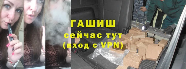 сатива Баксан