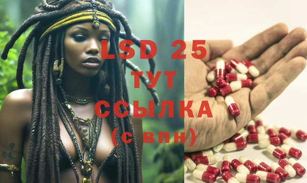 сатива Баксан