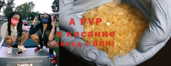 сатива Баксан