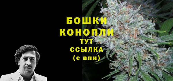 сатива Баксан