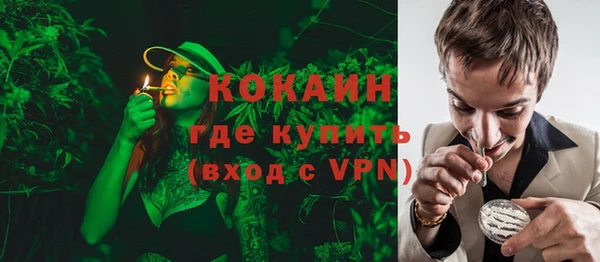 сатива Баксан