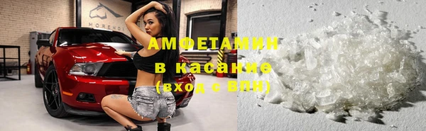 сатива Баксан